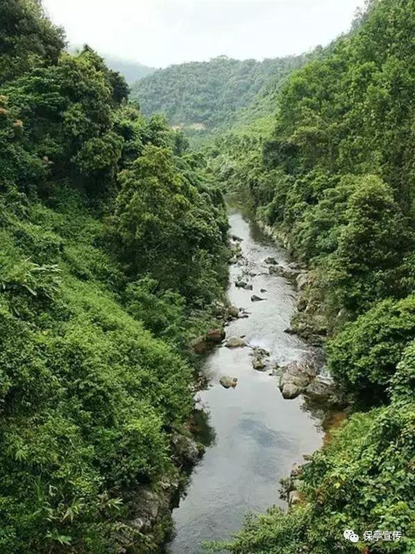 加勒比巡航